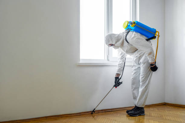 Wildlife Control Services in Baiting Hollow, NY