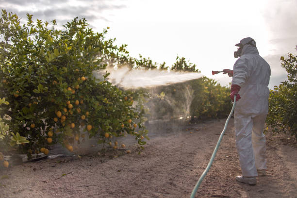 Best Mosquito Control Services  in Baiting Hollow, NY