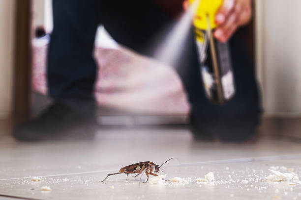 Insect Control in Baiting Hollow, NY