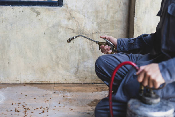 Best Commercial Pest Control Services  in Baiting Hollow, NY