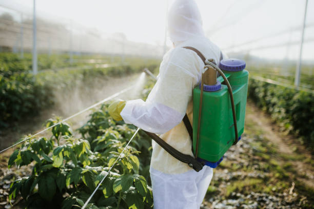 Flea Control Services in Baiting Hollow, NY